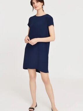 Cuyana Silk Tee Dress